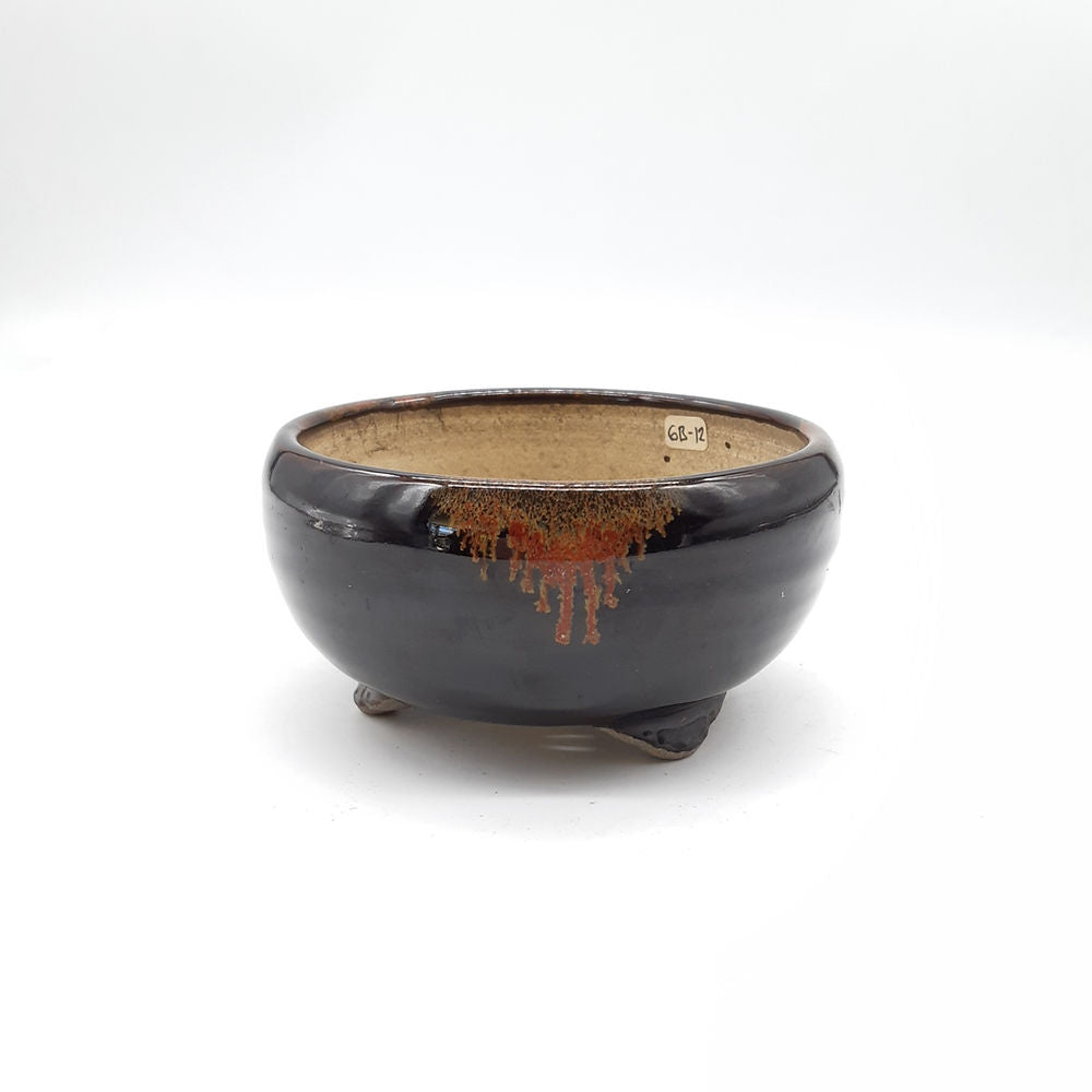 Pot bonsaï Terahata Satomi