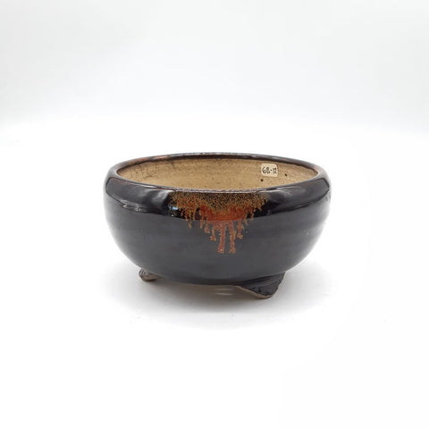 Pot bonsaï Terahata Satomi