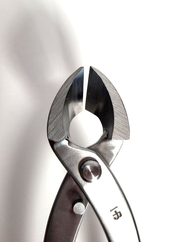 Grande pince concave coupe droite - 280mm - Hugo Bonsaï®