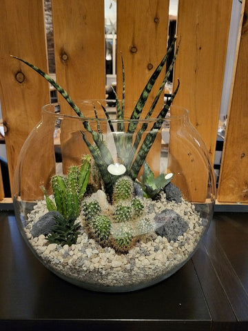 Terrarium Jakarta