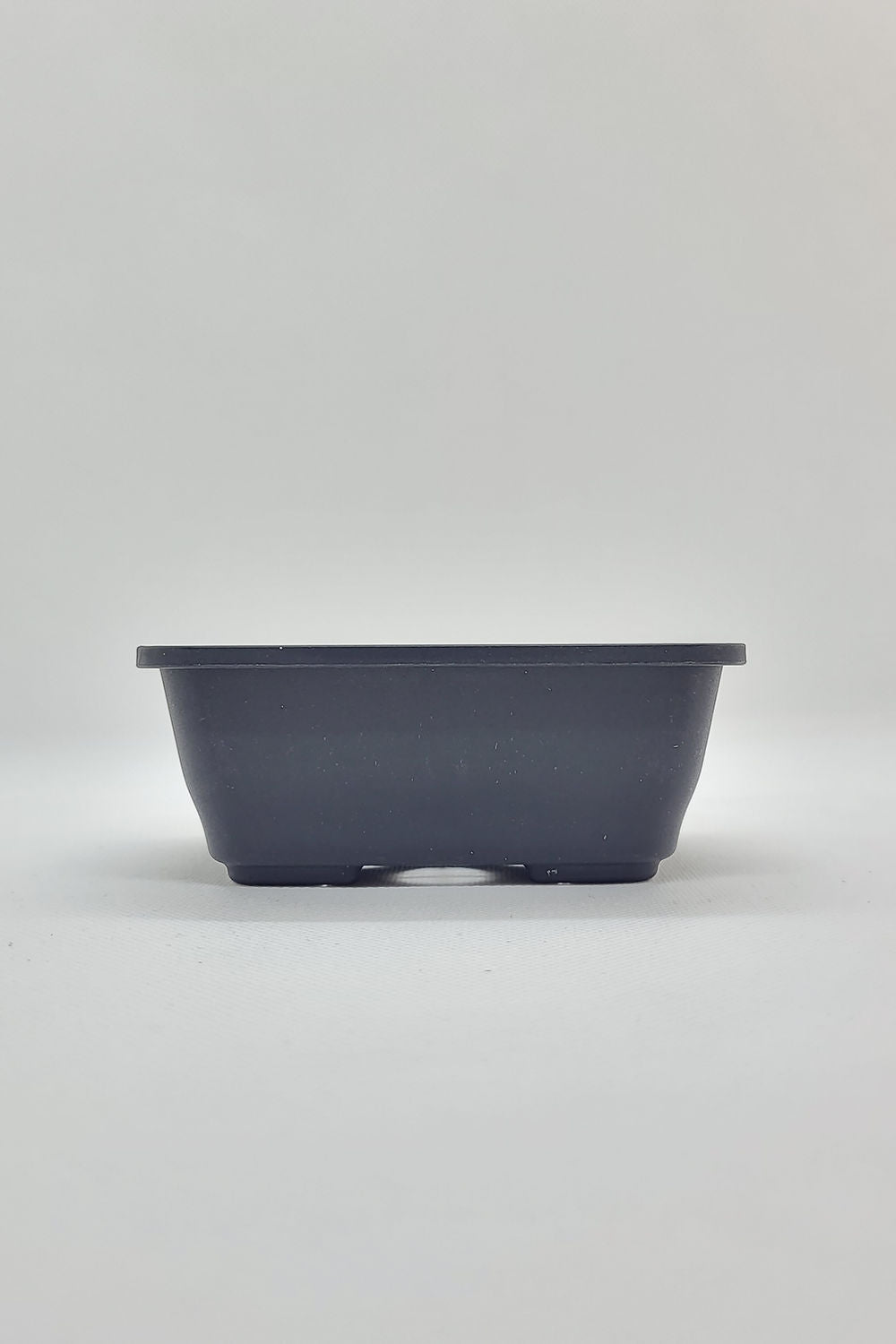 Pot bonsaï en plastique