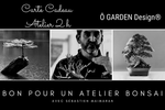 Recto de la carte cadeau atelier bonsaï 2h animé par Sébastien Maimaran, formateur passionné