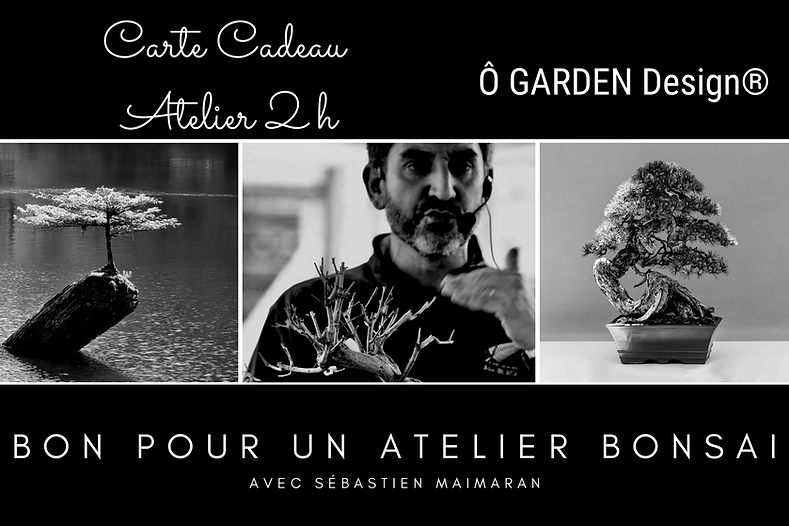 Recto de la carte cadeau atelier bonsaï 2h animé par Sébastien Maimaran, formateur passionné