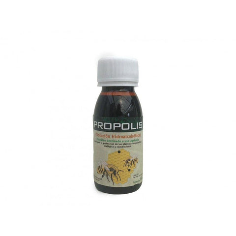 Propolis (solution hydro-alcoolique)