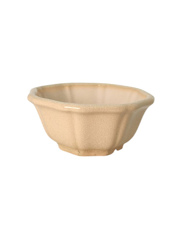 Pot émaillé pour bonsaï -Beige
