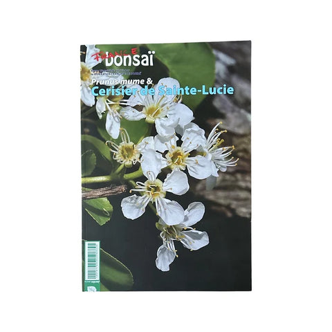 Magazine France Bonsaï - N°123