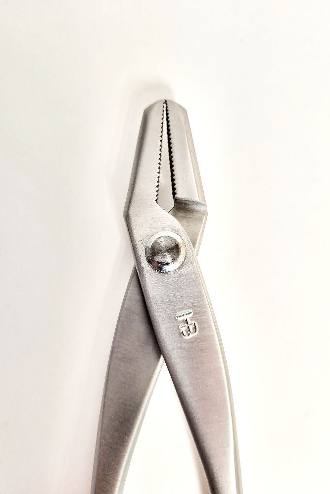 Pince à fil et à Jin/Shari - 220mm - Hugo Bonsaï®