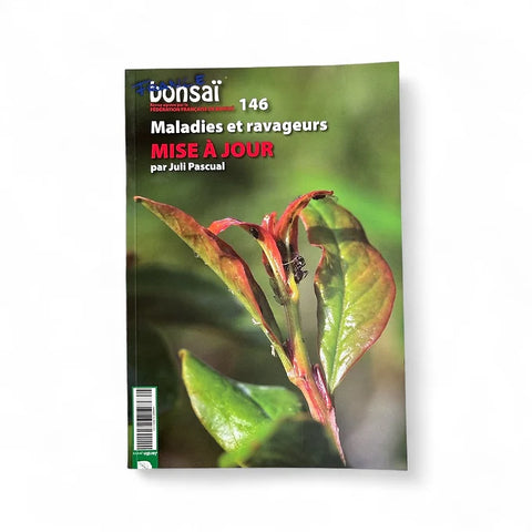 Magazine France Bonsaï - N°146