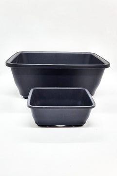 Pot bonsaï en plastique