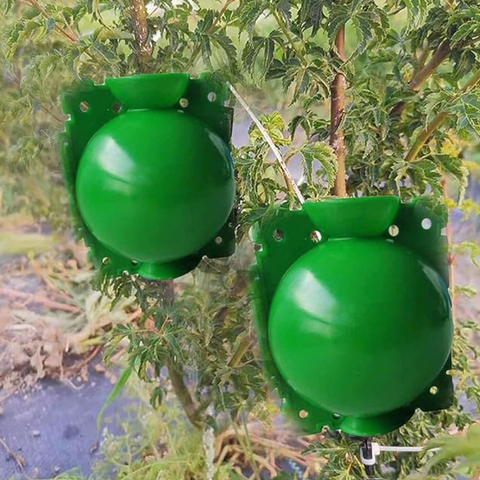 Boule de marcottage vert - Taille M