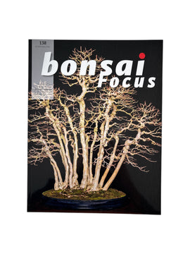 Magazine Bonsaï Focus - n°138