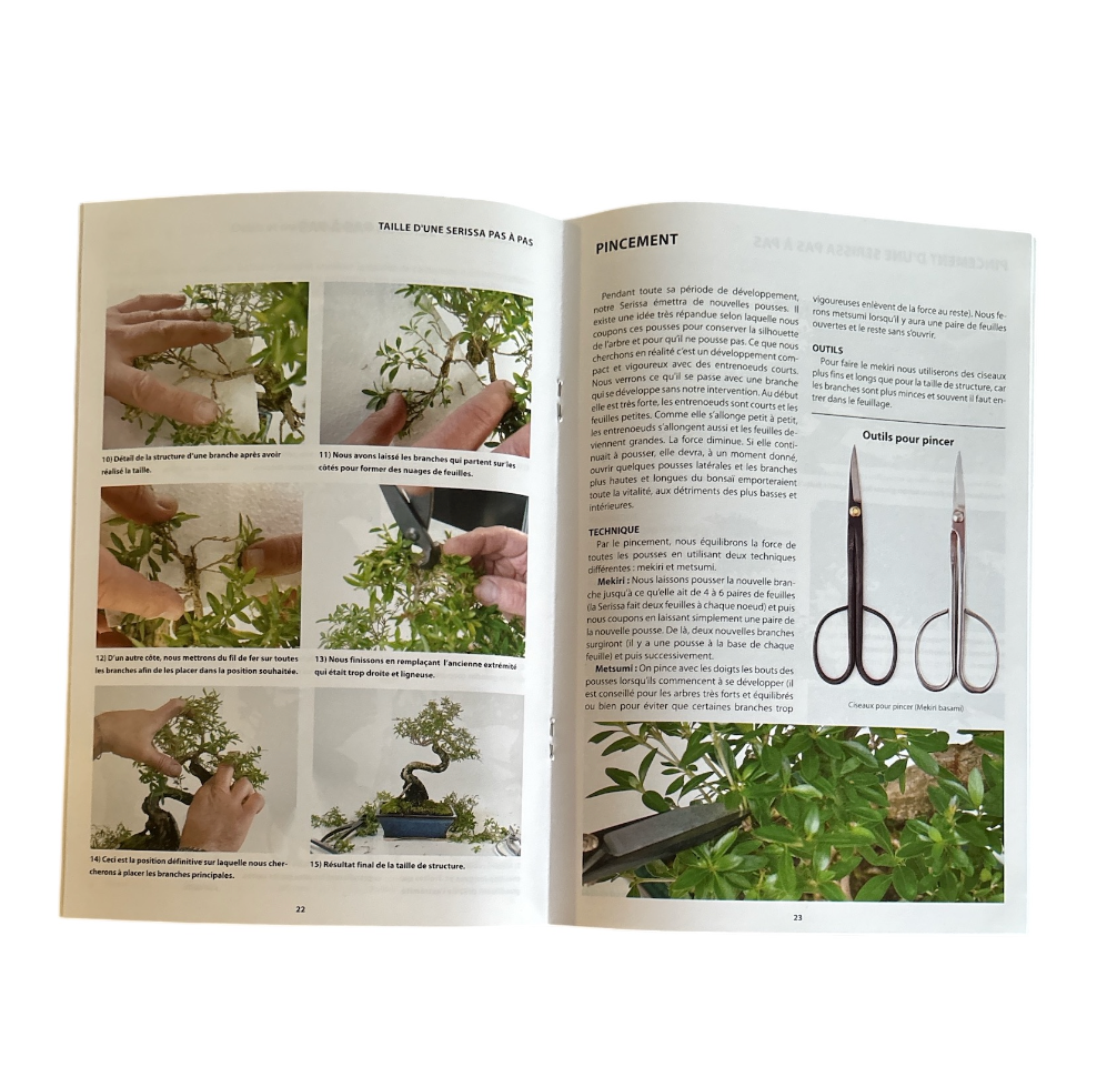 Livre "Serissa bonsaï - L'art de donner forme à la nature"