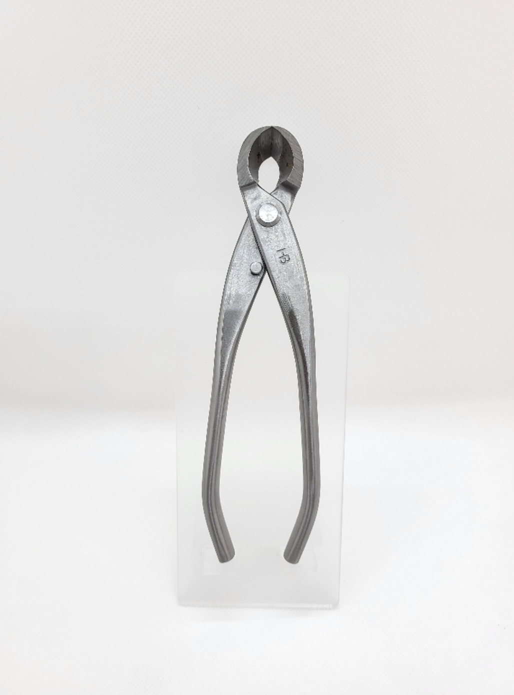 Pince concave arrondie en inox - 180mm - Hugo Bonsaï®