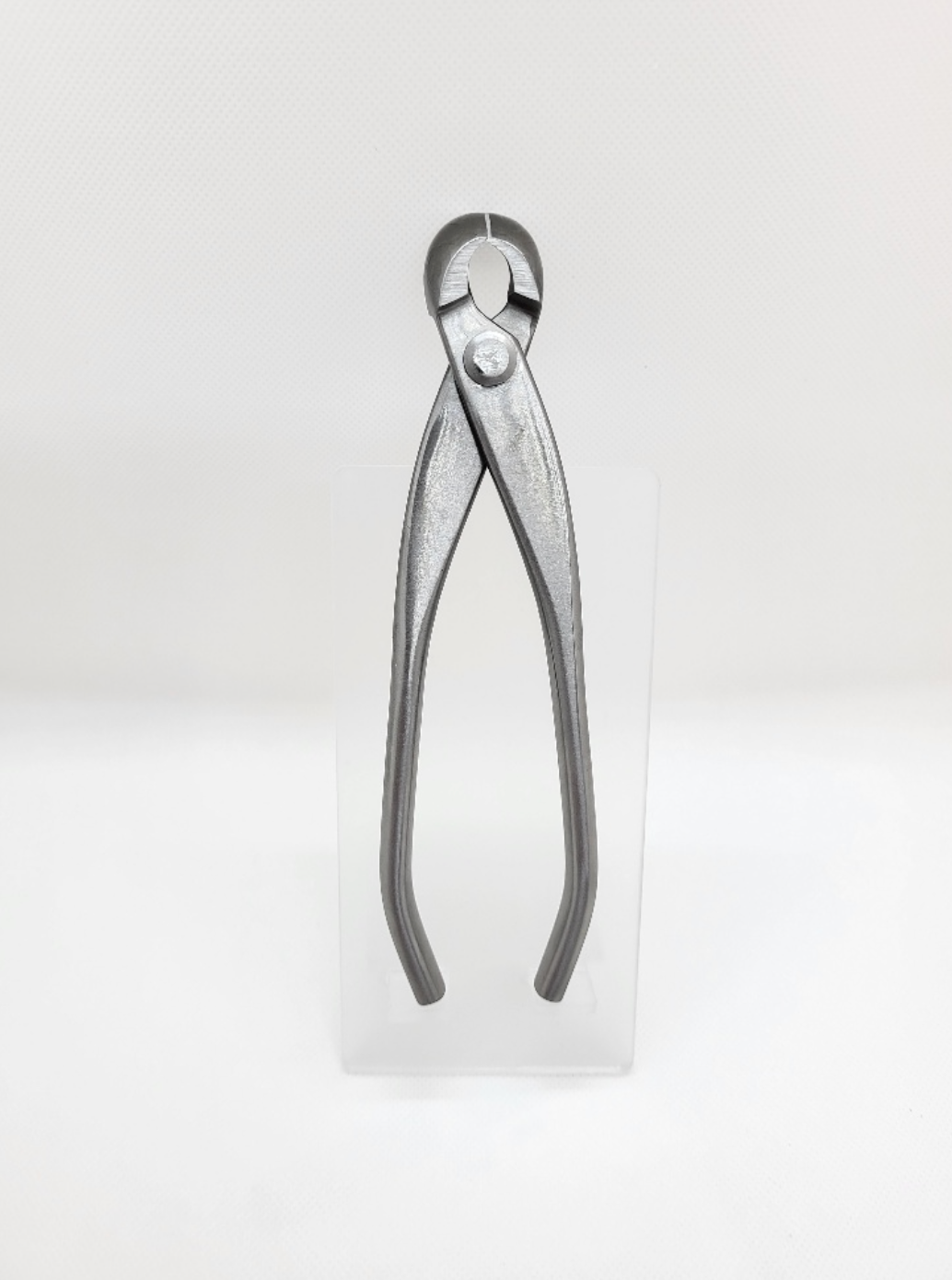 Pince concave arrondie en inox - 180mm - Hugo Bonsaï®