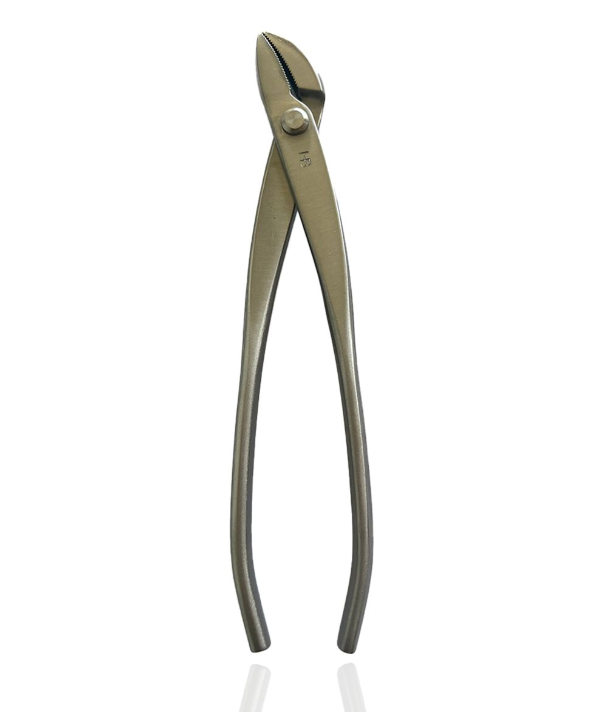 Pince à fil et à Jin/Shari courbée - 220mm - Hugo Bonsaï®
