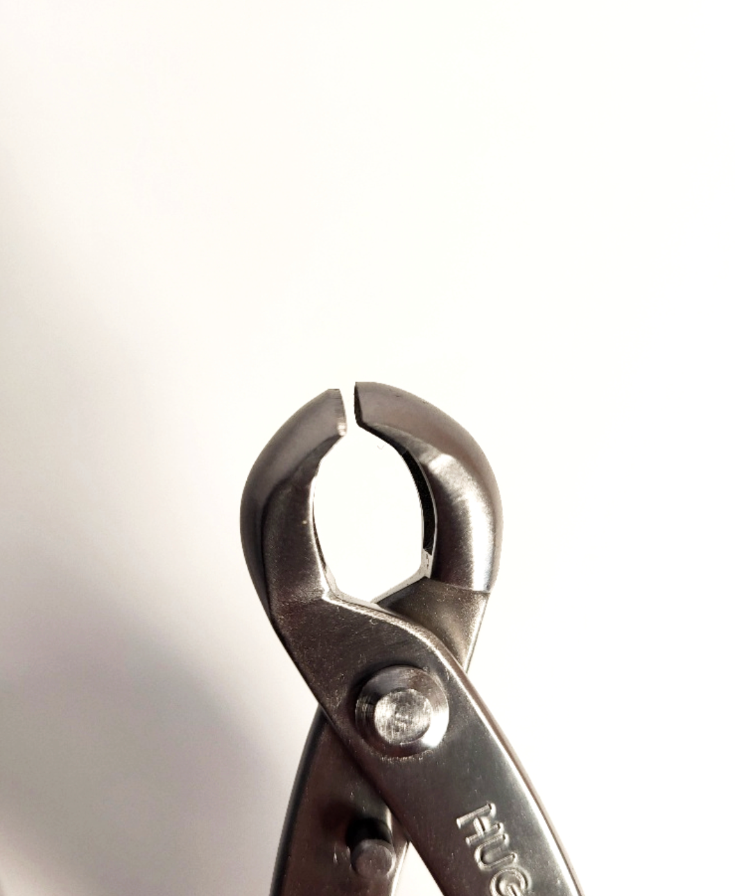 Petite pince ronde - 180mm - Hugo Bonsaï®