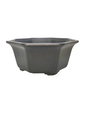 Pot bonsaï forme octogonale en plastique