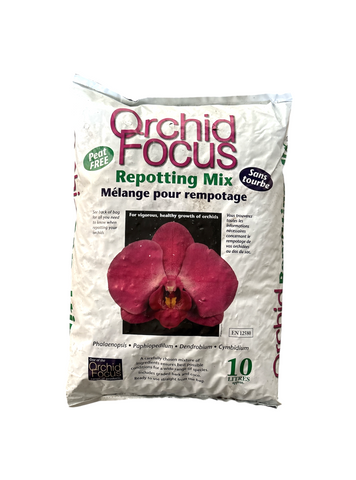Substrat rempotage pour orchidées 'Orchid Focus'