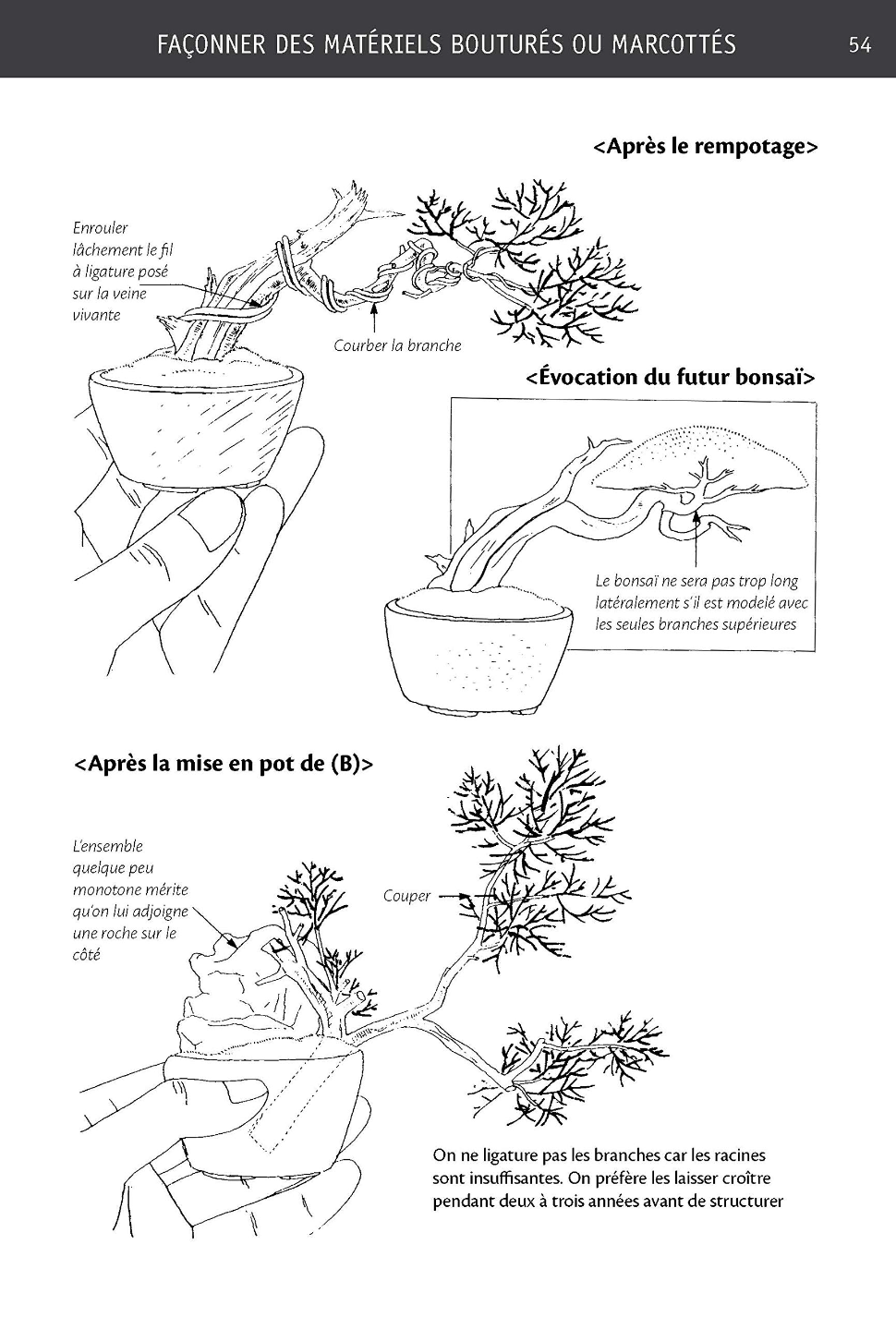 Livre "Mini bonsaï - Le Genévrier" par Kyôsuke GUN