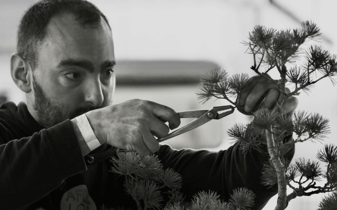 Atelier bonsaïs à Tours avec Alexis le 30 novembre 2025