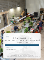 Carte cadeau atelier bonsaï 2h animé par Sébastien Maimaran, formateur passionné