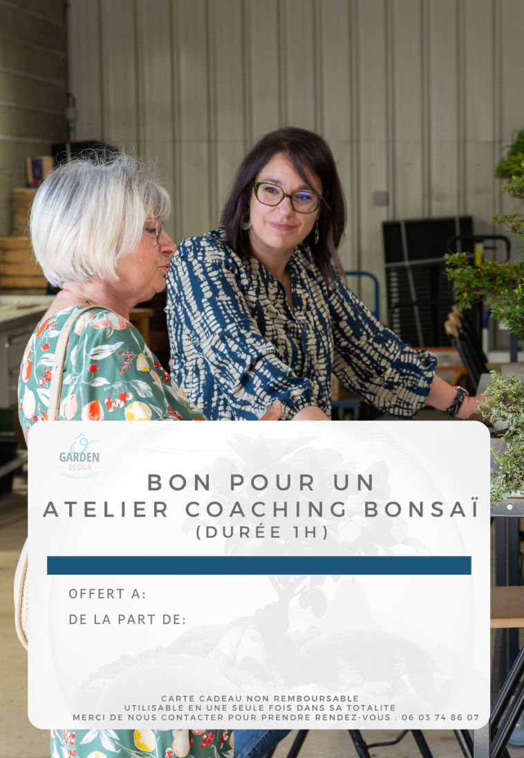 Carte cadeau atelier bonsaï 1h animé par Sébastien Maimaran, formateur passionné