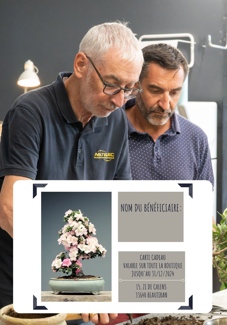 Carte cadeau atelier kokedama pour créer une plante japonaise traditionnelle et repartir avec sa composition