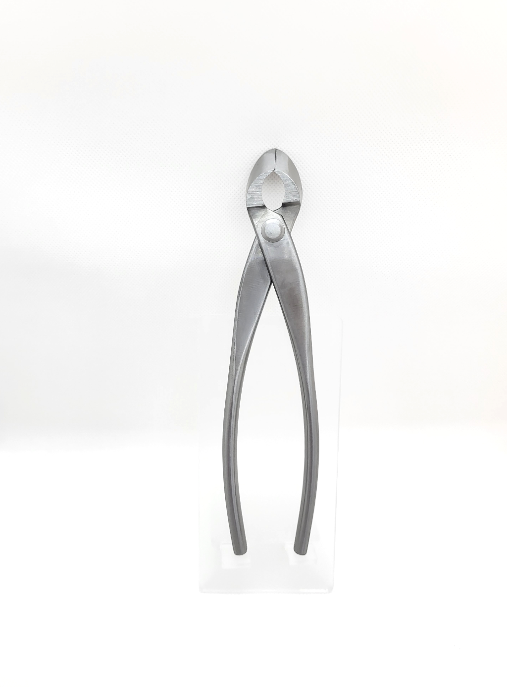Pince concave droite en inox - 210mm - Hugo Bonsaï®