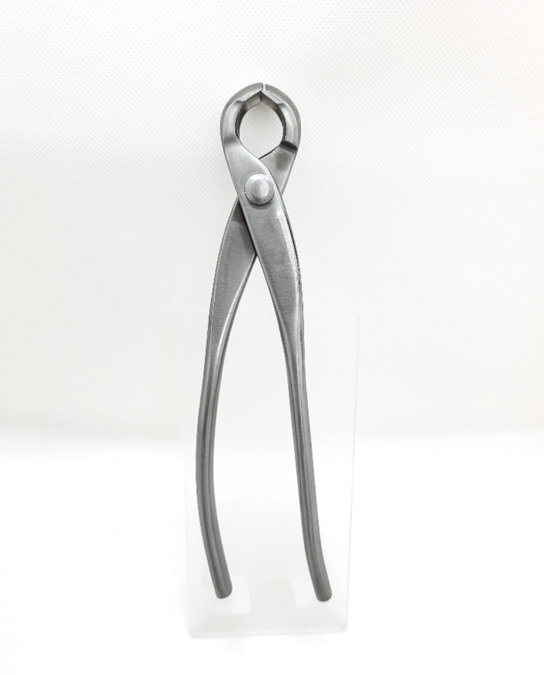 Pince concave ronde en inox - 210mm - Hugo Bonsaï®