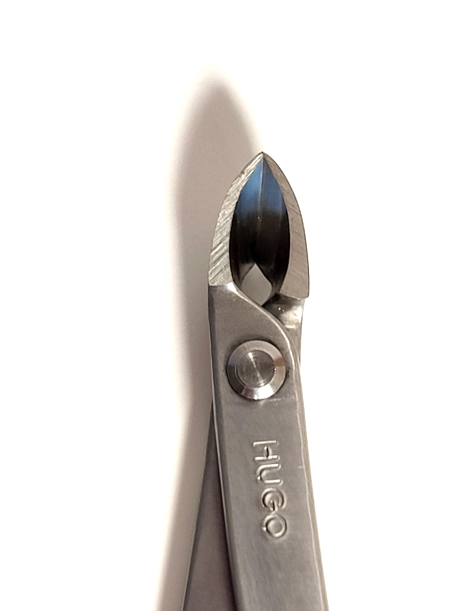 Pince étroite en inox - 180mm - Hugo Bonsaï®