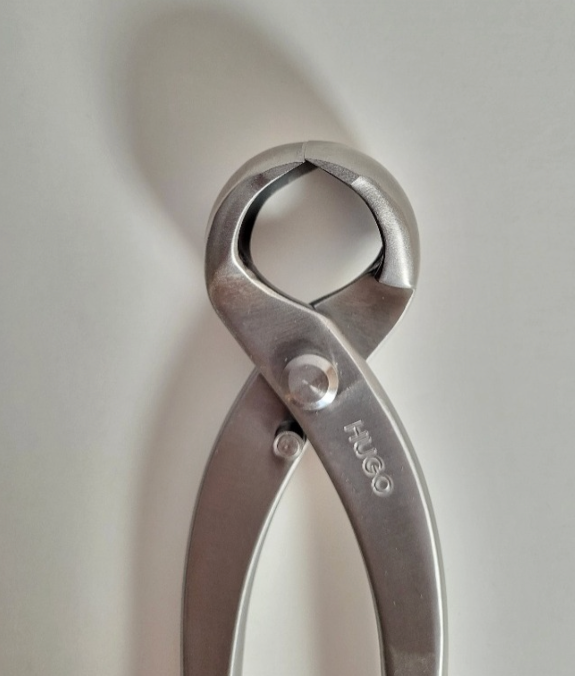 Grande pince concave ronde - 280mm - Hugo Bonsaï®