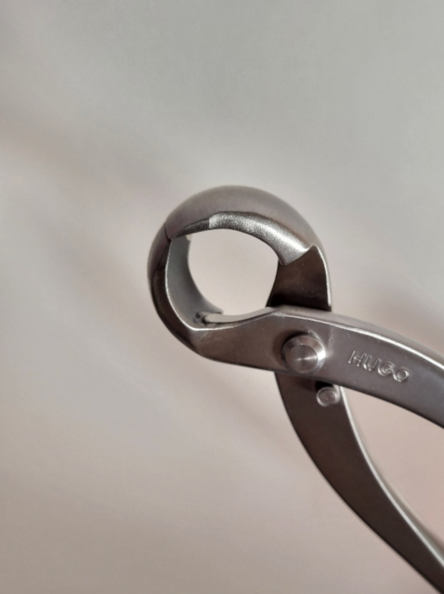 Grande pince concave ronde - 280mm - Hugo Bonsaï®