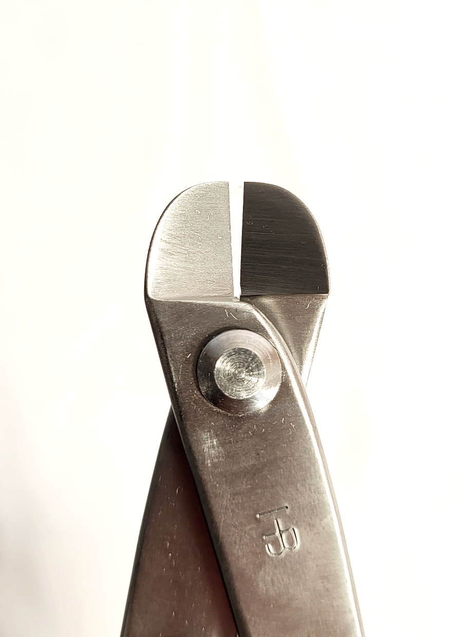 Pince coupe-fil en inox - 210mm - Hugo Bonsaï®