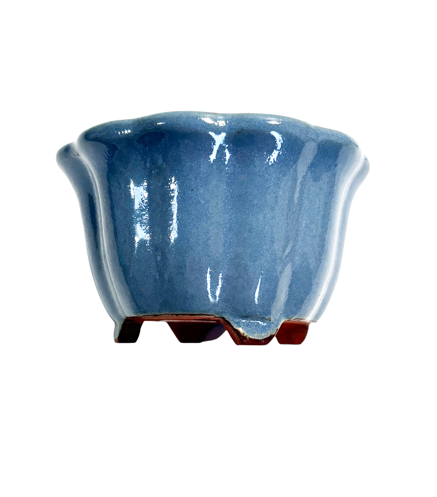 Pot Tokoname Yozan