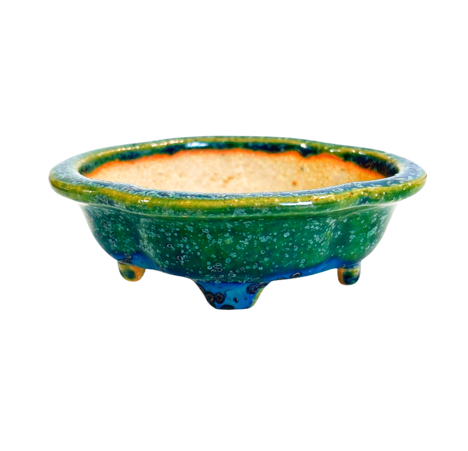 Pot Tokoname Koyo