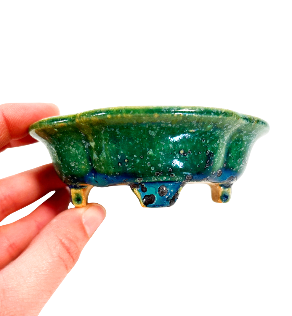 Pot Tokoname Koyo