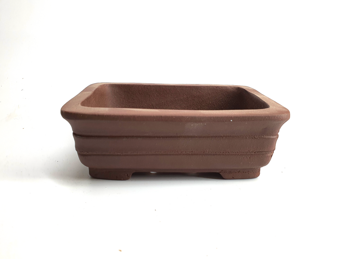 Pot rectangulaire (16*12*h5cm)