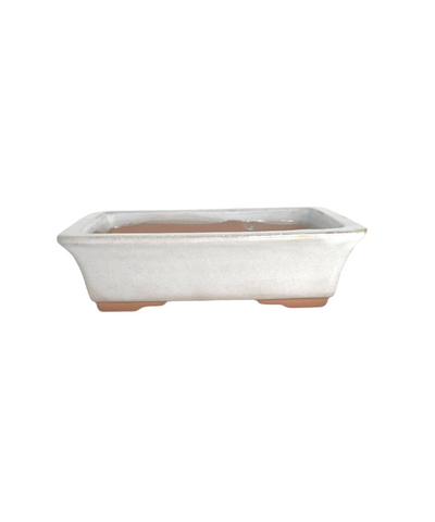 Pot rectangle blanc