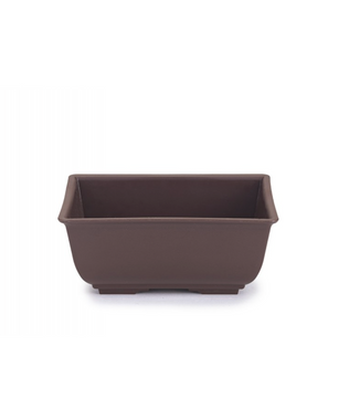 Pot bonsaï plastique