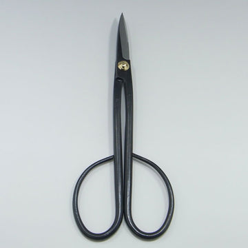 Ciseaux long bonsaï 210mm - Kaneshin® n°38C acier carbone