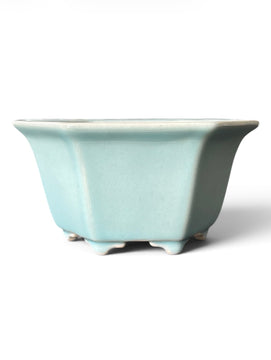 Pot hexagonal (10.5*10.5*h6cm)