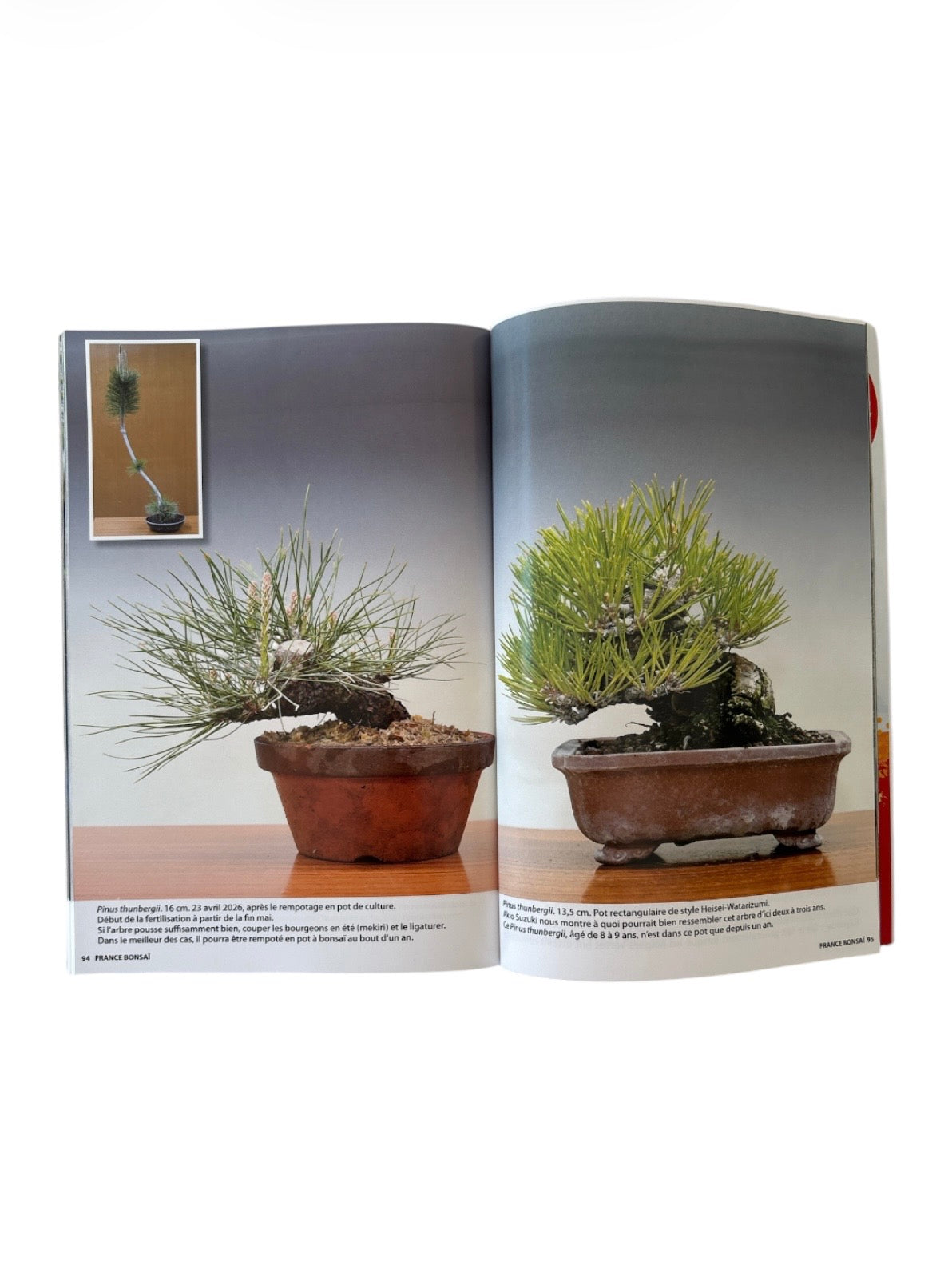 Magazine France Bonsaï - N°170