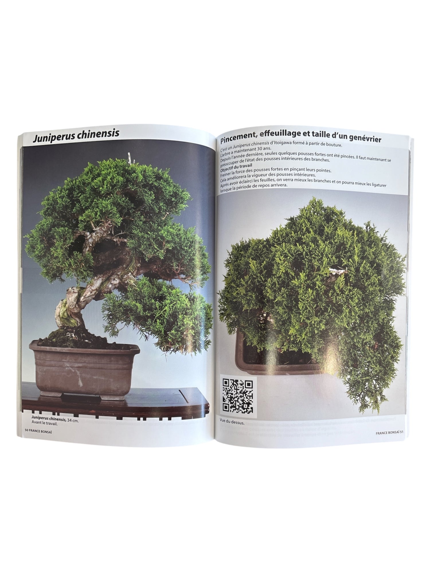 Magazine France Bonsaï - N°169