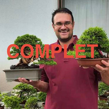 8 janvier 2026 - Atelier bonsaï avec Alexandre Escudero