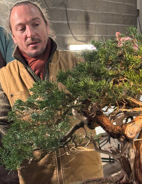 Atelier bonsaï avec Grégory Drouin le 6 décembre 2025