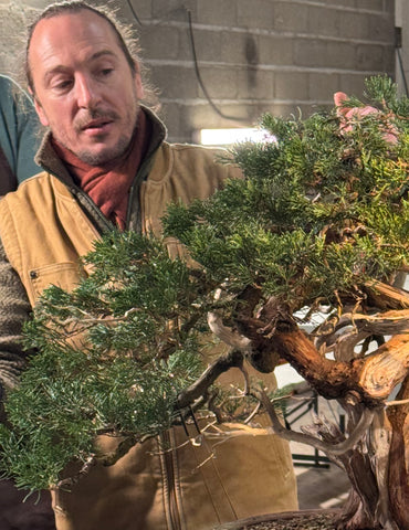 Atelier bonsaï avec Grégory Drouin le 6 décembre 2025
