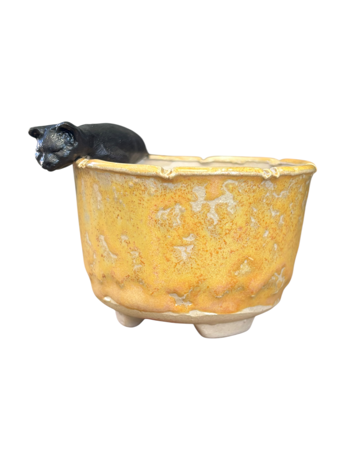 Céramique artisanale Lotus Bonsaï Studio