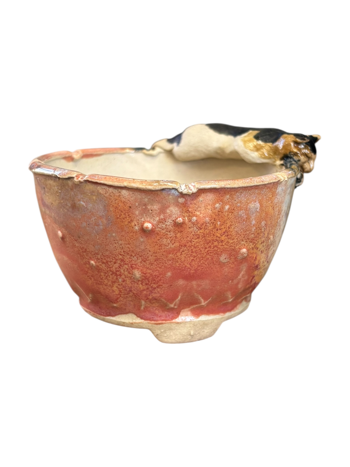 Céramique artisanale Lotus Bonsaï Studio