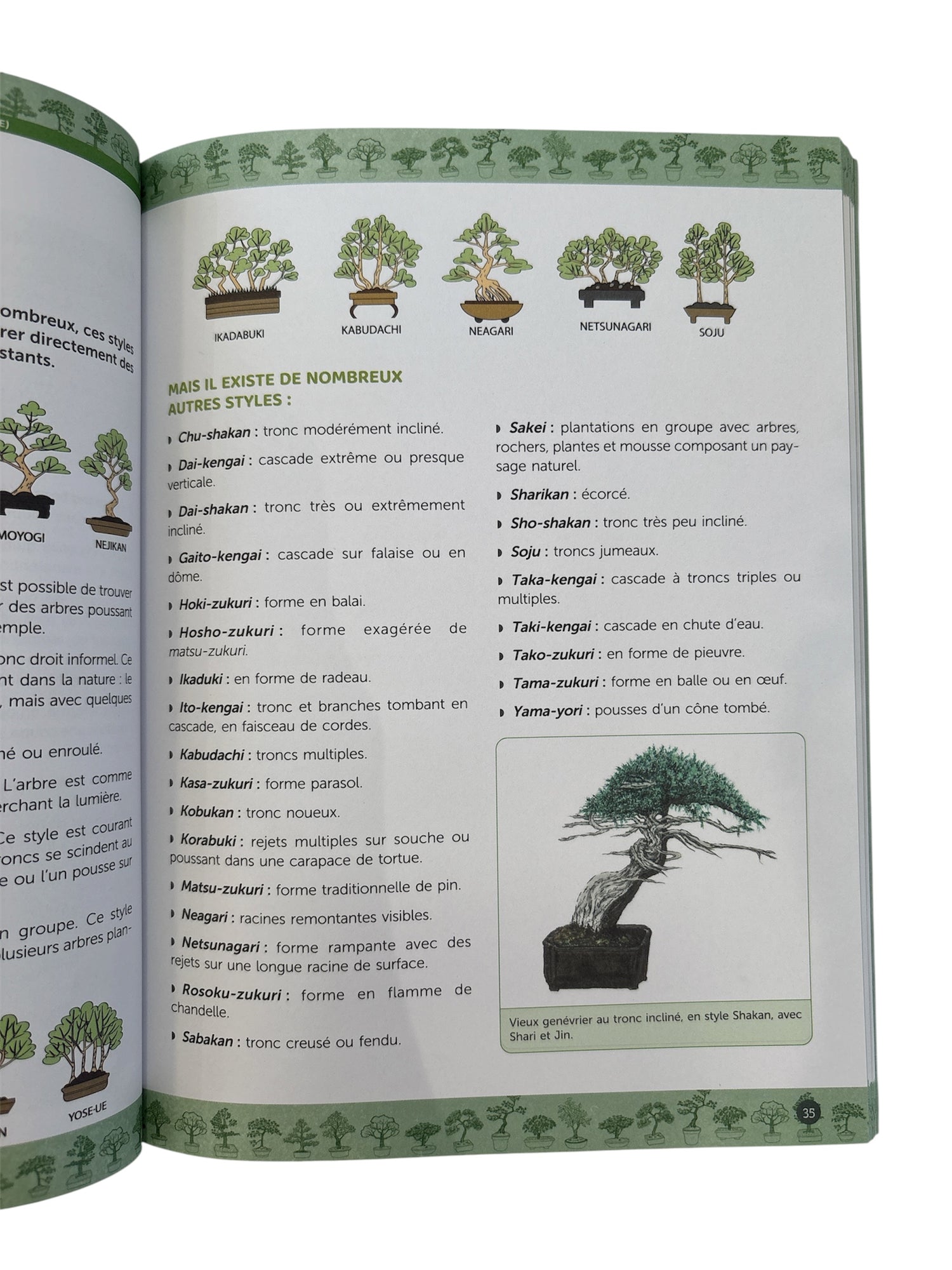 Livre "Guide pratique du Bonsaï" de Olivier GIHAUT