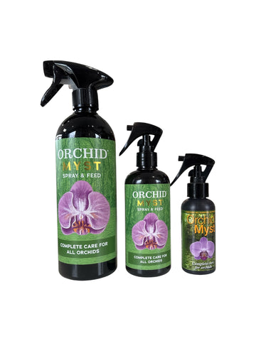 Spray revitalisant pour orchidées